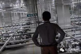 国产工厂三级视频大全,揭秘现代工业制造全流程