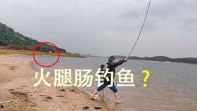 国产钓竿宣传片视频