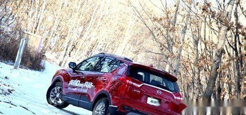 国产青春汽车视频,演绎速度与激情的青春传奇