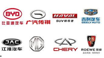 街头采访国产车视频全集,街头采访视频全集深度解析