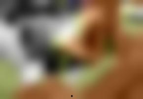 国产美乳视频在线