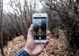 国产手机再次加油视频大全