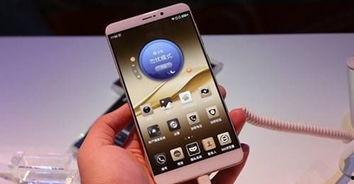 国产精屏视频 迅雷下载